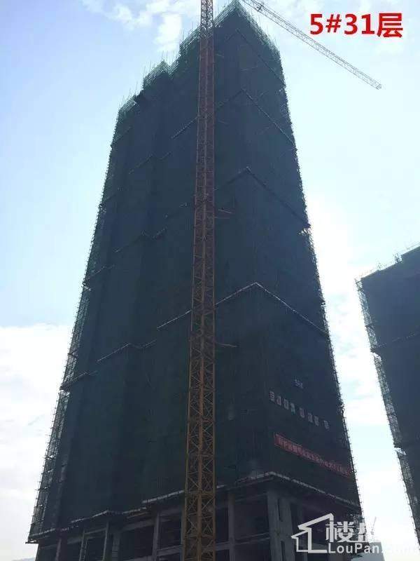 兴嘉悦湖山5#栋已经建至31层