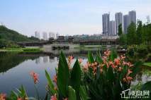 龙湖新壹城周边彩云湖湿地公园