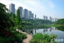 龙湖新壹城周边彩云湖湿地公园
