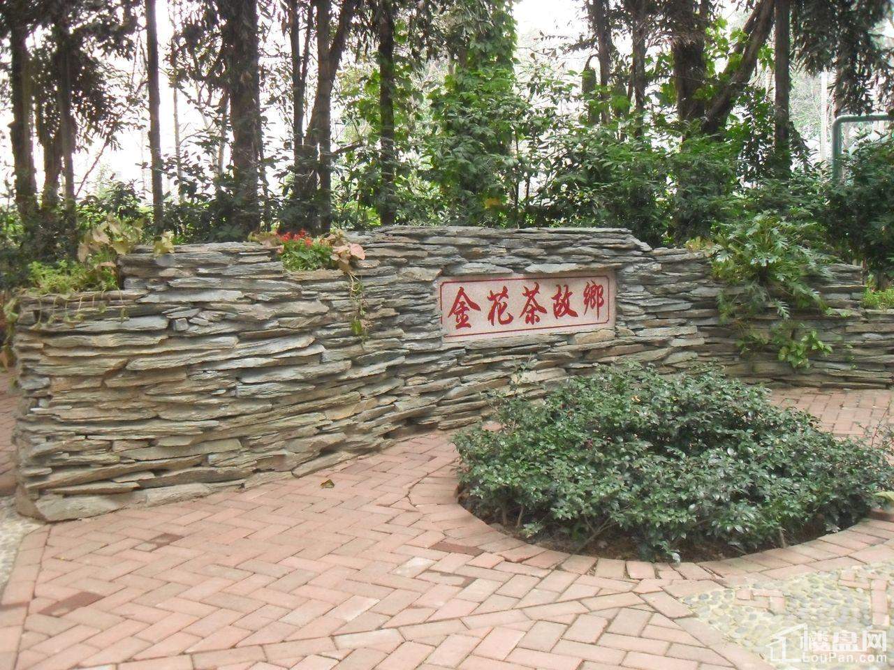 金花茶公园