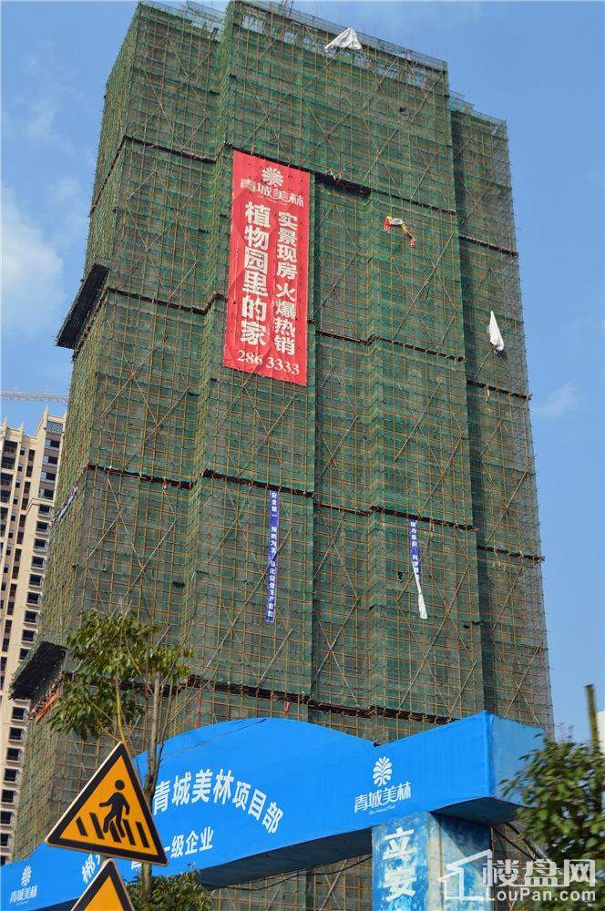 青城美林2016年3月工程进度图