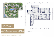 	E座、F座01户型