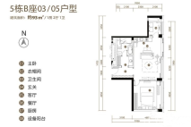 5栋B座03、05户型 