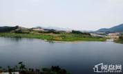 雅居乐白鹭湖实景图