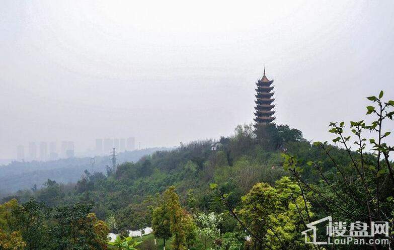  江山樾配套图--照母山