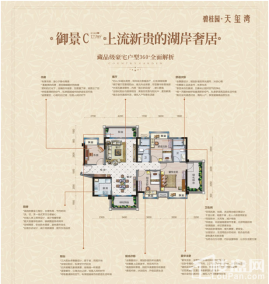 碧桂园天玺湾御景系D户型