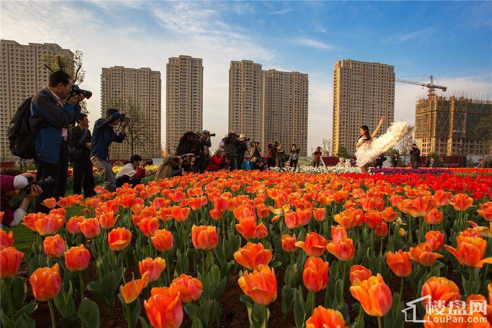 2016新湖庐山国际郁金香花博会