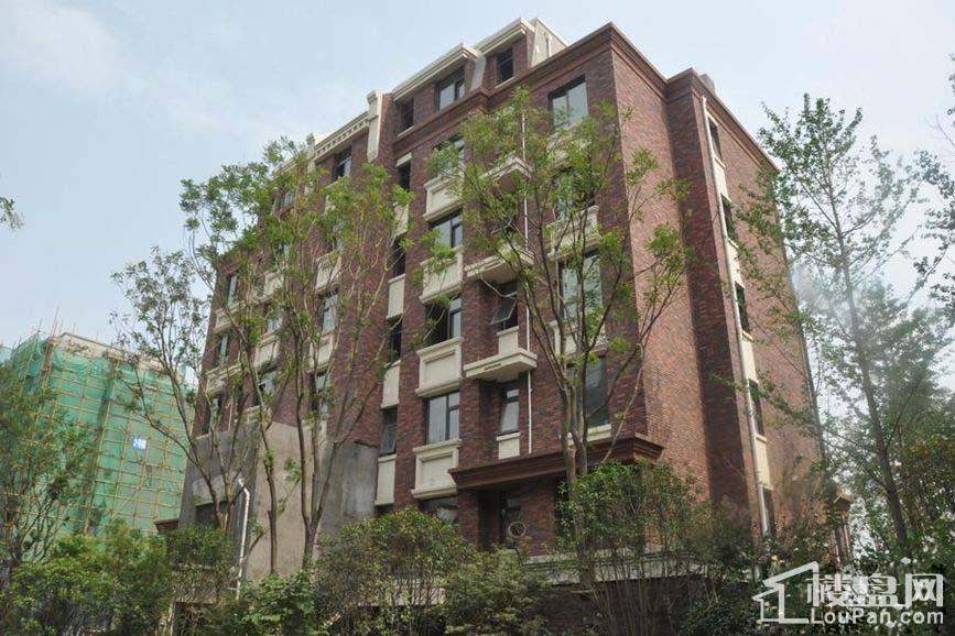 豫发大运城蓝山公馆