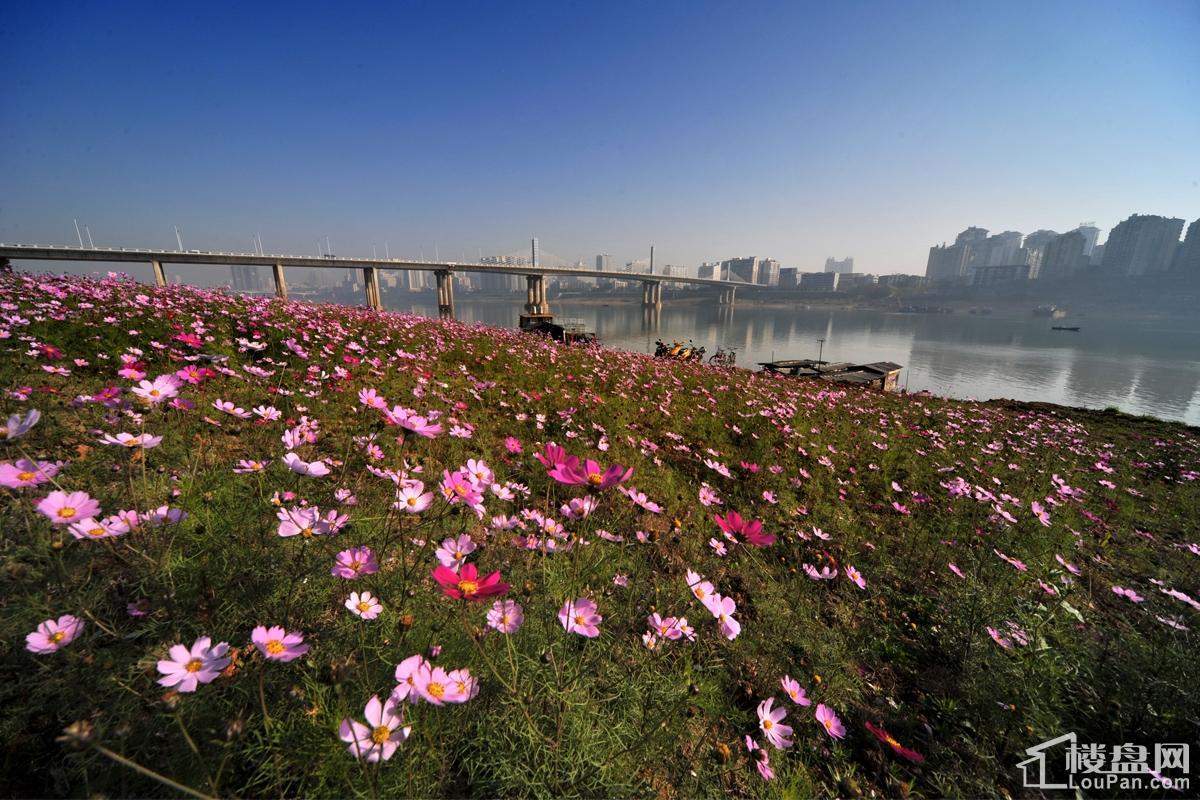 财富湘江实景图