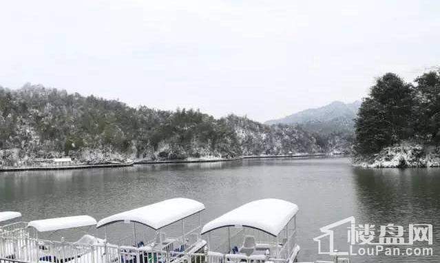 天岛湖实景图
