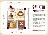 才子嘉都B01户型