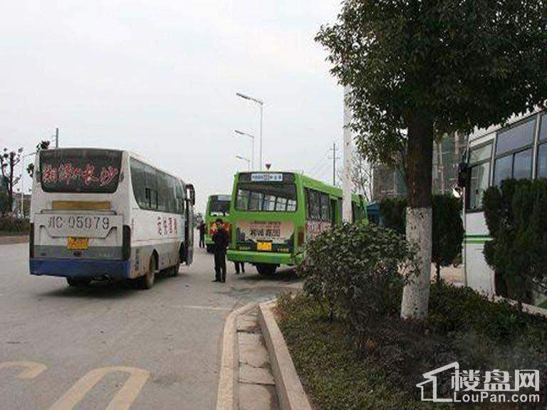 丽发新城 周边道路