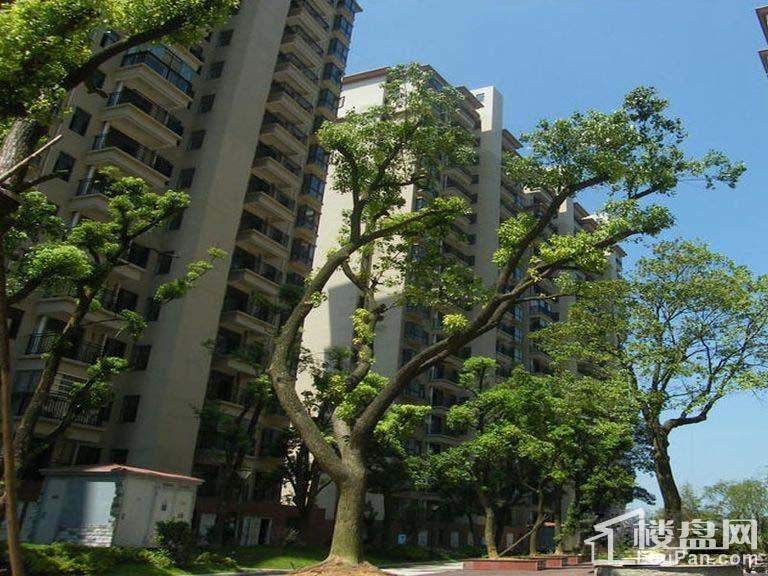  中鼎江岸花城 实景图