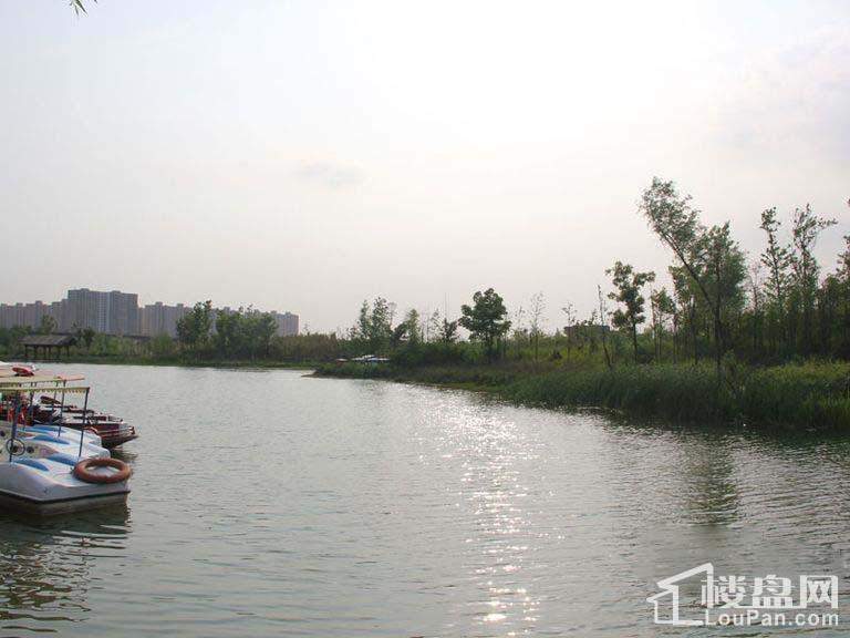 周边垟湖垸湿地公园美景