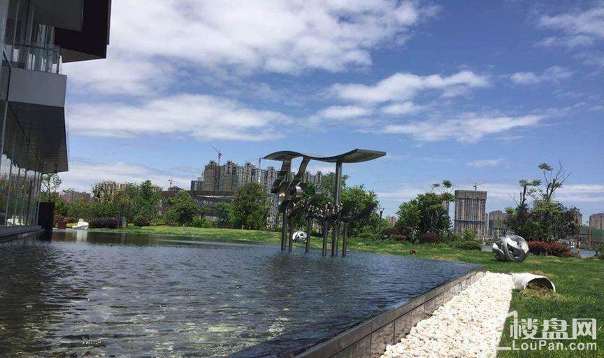 卓越浅水湾  实景