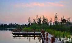 北大资源理想家园 周边洋湖湿地公园