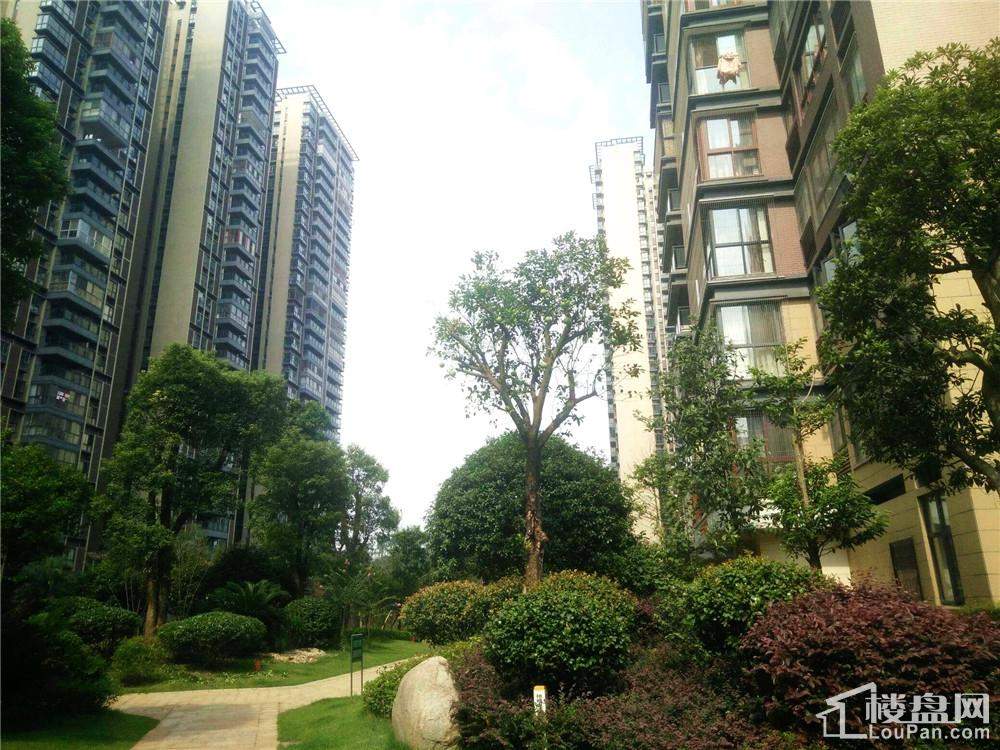 郴州神憩乾珑效果图_实景图_样板间-郴州楼盘网