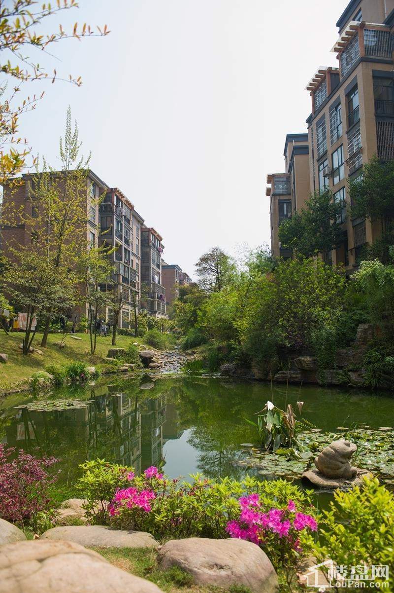 山水湾湾上国际实景