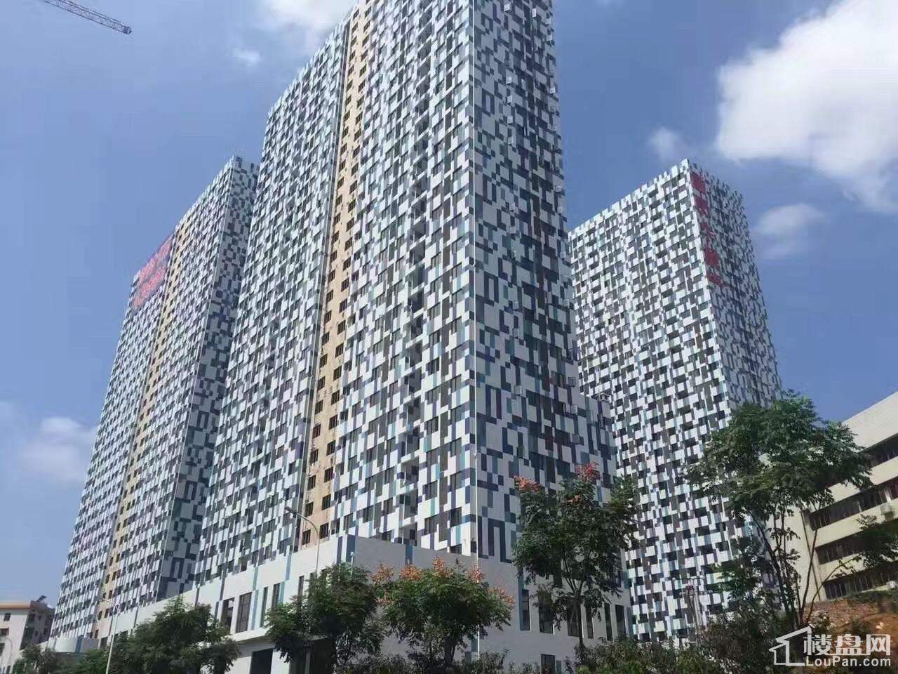 新贵华城三期公寓实景