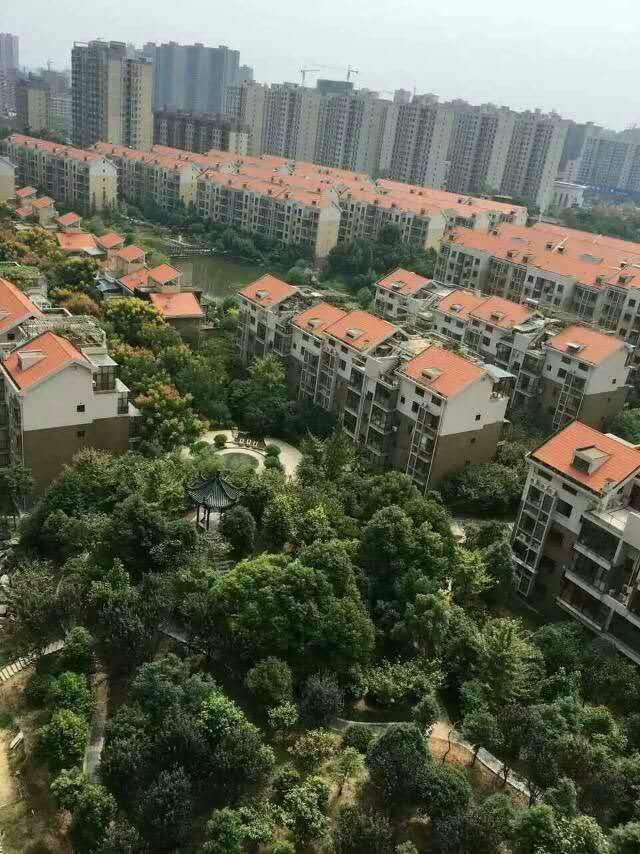 实景图