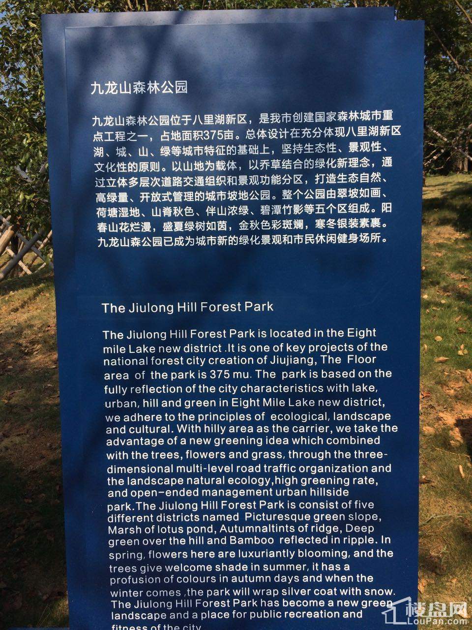 九龙山森林公园