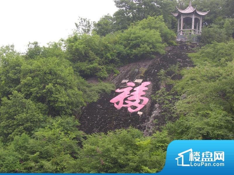 项目500米处的马仁山景区