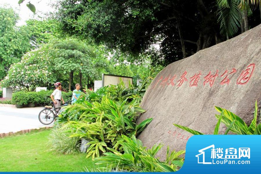 项目100米的广州义务植树公园