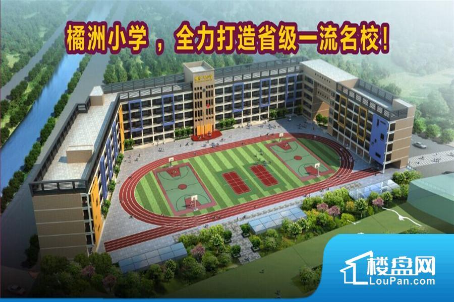 橘洲小学移交政府实景