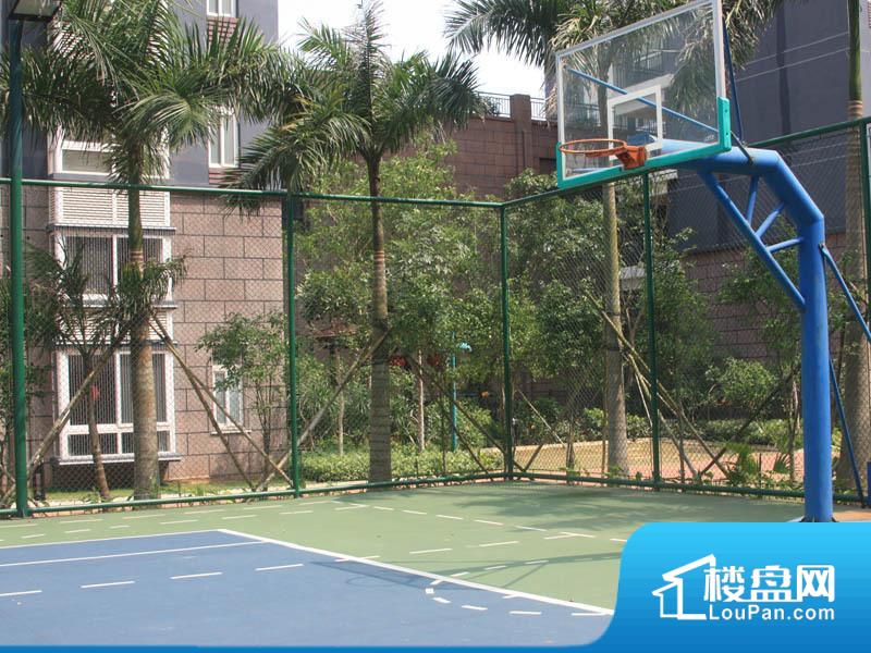 小区篮球场实景图（2013-03-12）