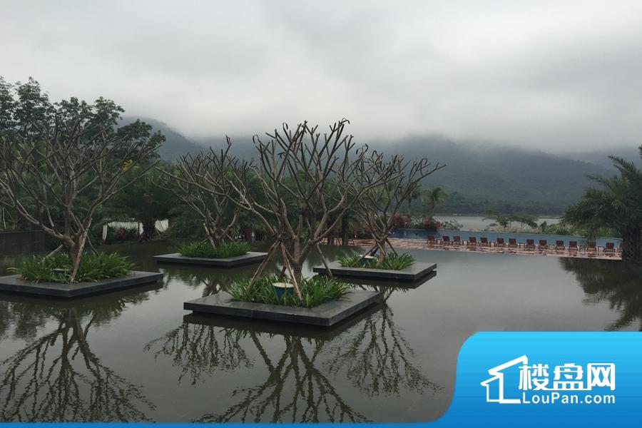 细雨下的木棉湖（2015-03-12）