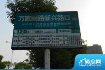 周边万家丽路新兴路口站120路站牌