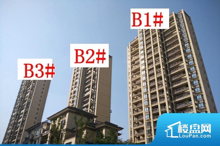 B1#B2#B3#工地实景图（2015-10-16）