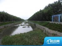 项目北200米柳子河