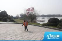 碧桂园滨湖城放风筝活动温馨开启