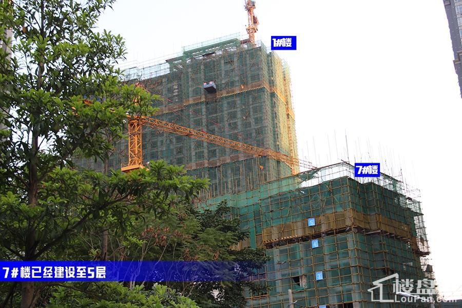 7#楼已经建设至5层（摄于2016.11.28）