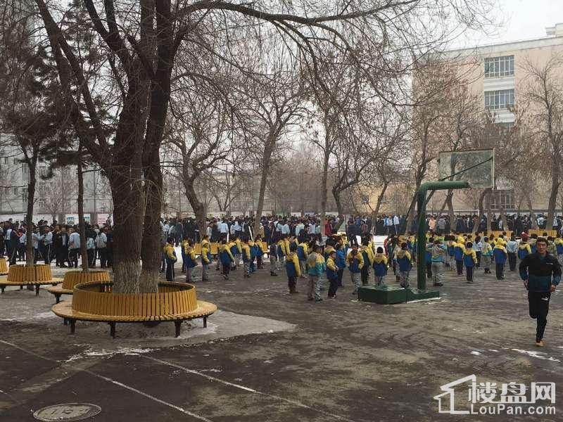 乌鲁木齐市第60中学图片