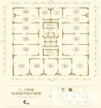 1-2号楼标准层