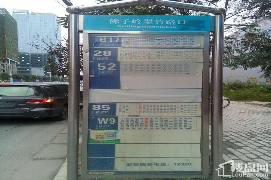 门口公交车站牌（2017.02.06）