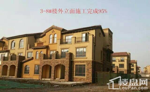 【隆基泰和·紫岸】工程进度播报