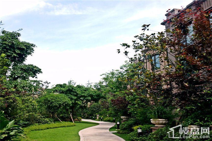 汇景铂庭红人馆