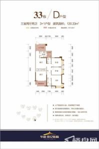 华盛世纪新城33栋D户型