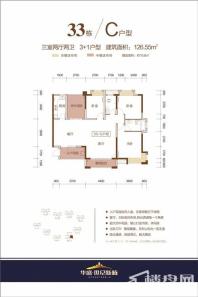 华盛世纪新城33栋C户型