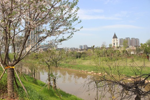 清溪川九号实景图