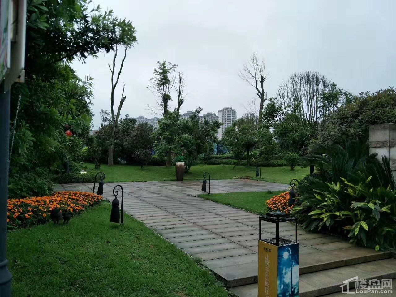 金科城园林实景