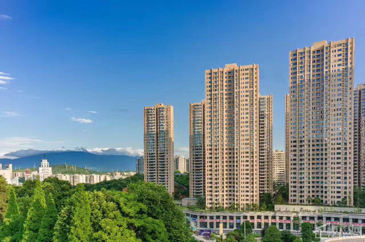 郴州湘域中央花园效果图_实景图_样板间-郴州楼盘网
