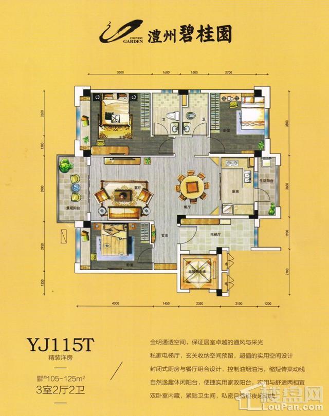 澧州碧桂园一期YJ115T户型图