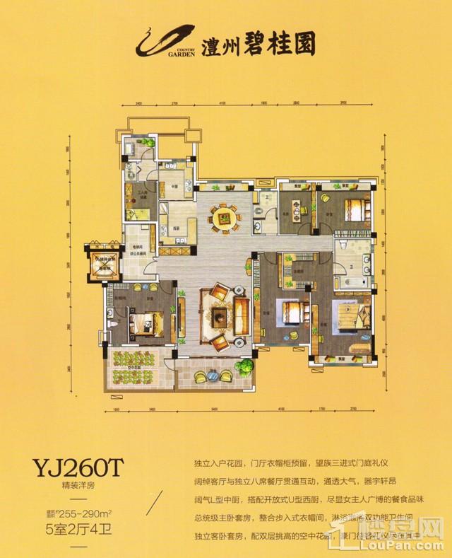 澧州碧桂园一期YJ260T户型图