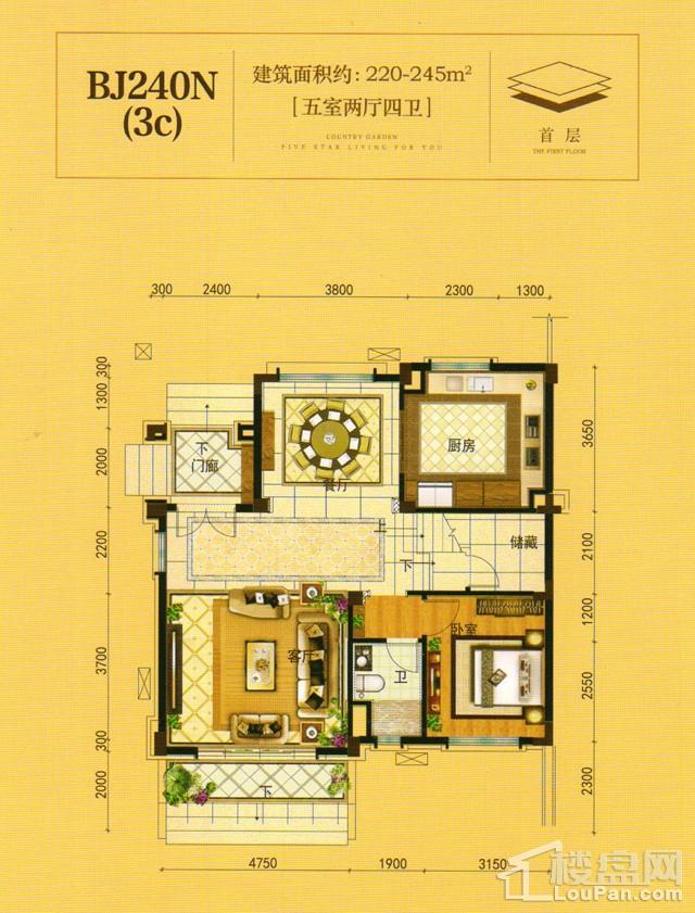 澧州碧桂园一期BJ240N(3C)首层户型图