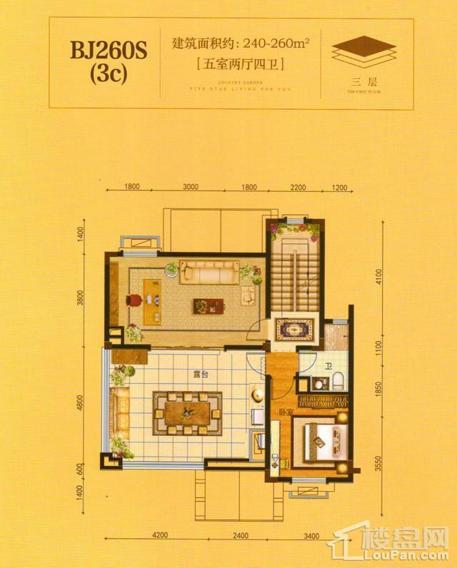 澧州碧桂园一期BJ260S(3C)三层户型图