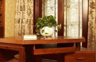书房书桌绿色植物选购?书房书桌绿色植物摆放注意?